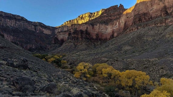 In a new poll, Arizona voters said their top reasons to conserve land were to protect drinking water, to ensure healthier forests, to help threatened wildlife and to conserve wildlife habitat and migration routes. Connecting marginalized communities with less access to the outdoors to natural areas was not the top reason to preserve, but was prioritized in comparison with other conservation goals.