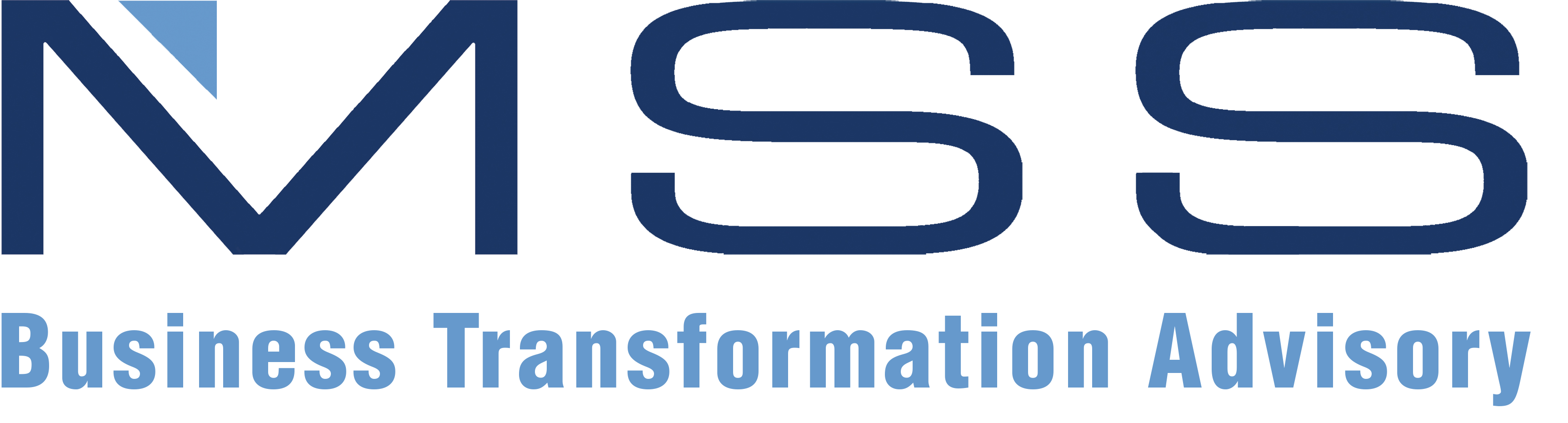 Business Transformation Award Sponsor