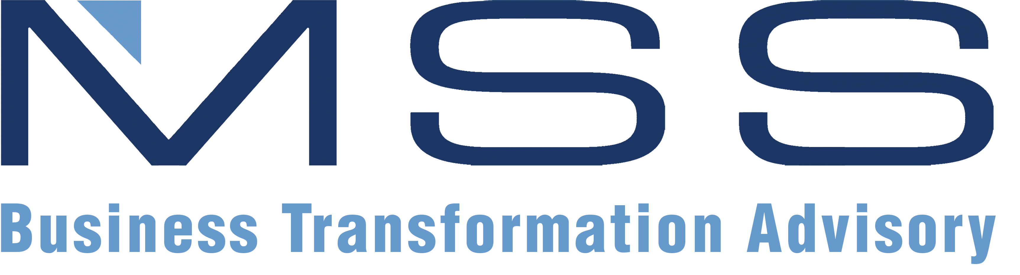 MSS Transformational Leadership Award Sponsor