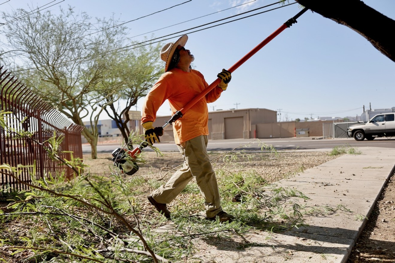 New 10 million tree planting grant will expand Phoenix shade canopy