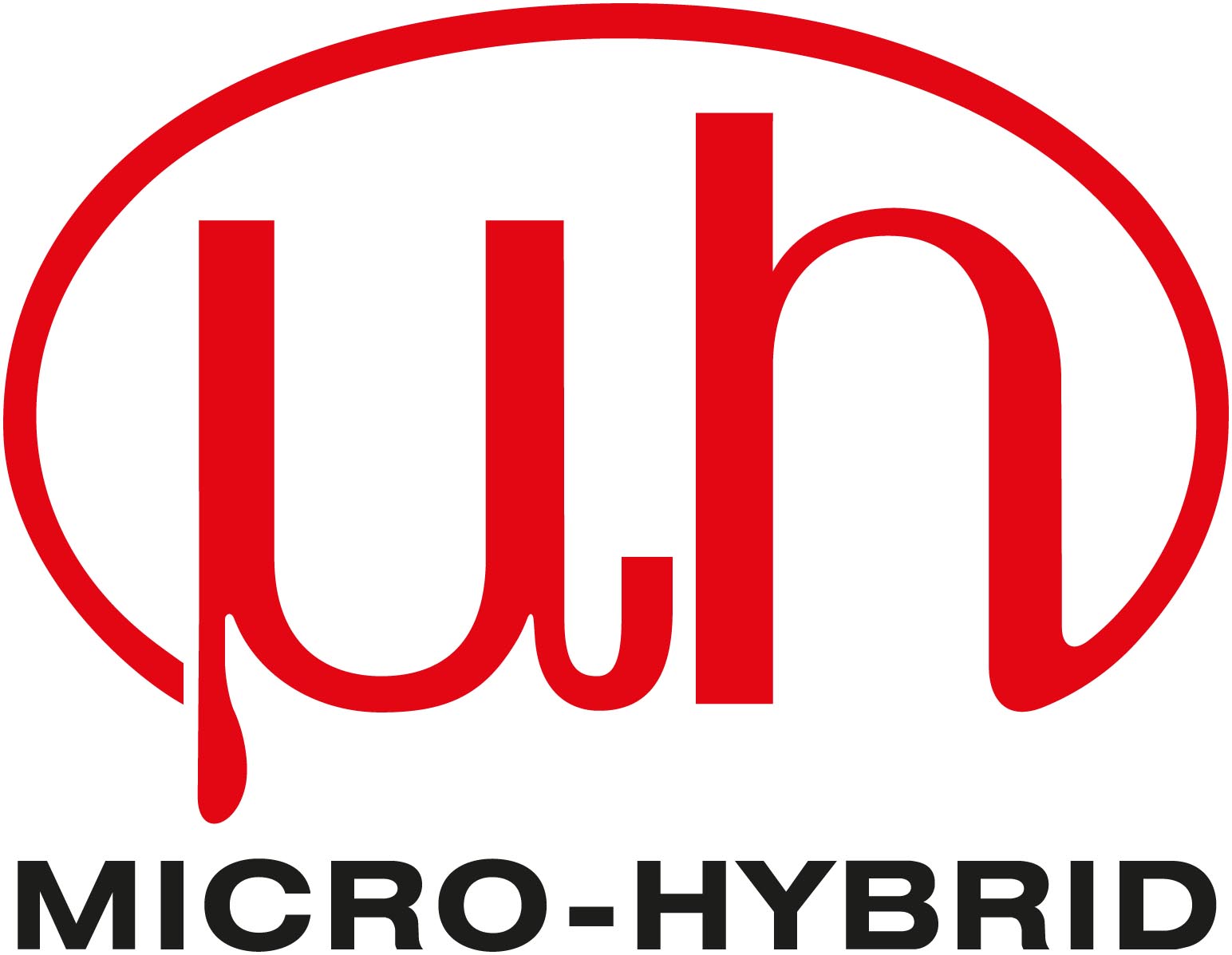 Bronze Sponsor