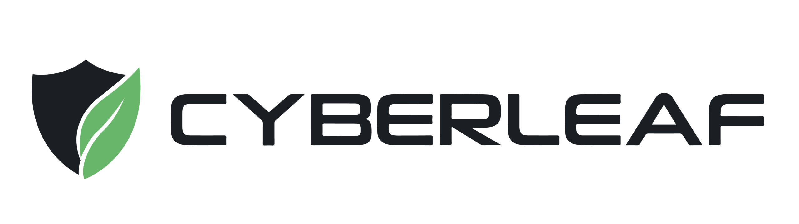 Silver Sponsor