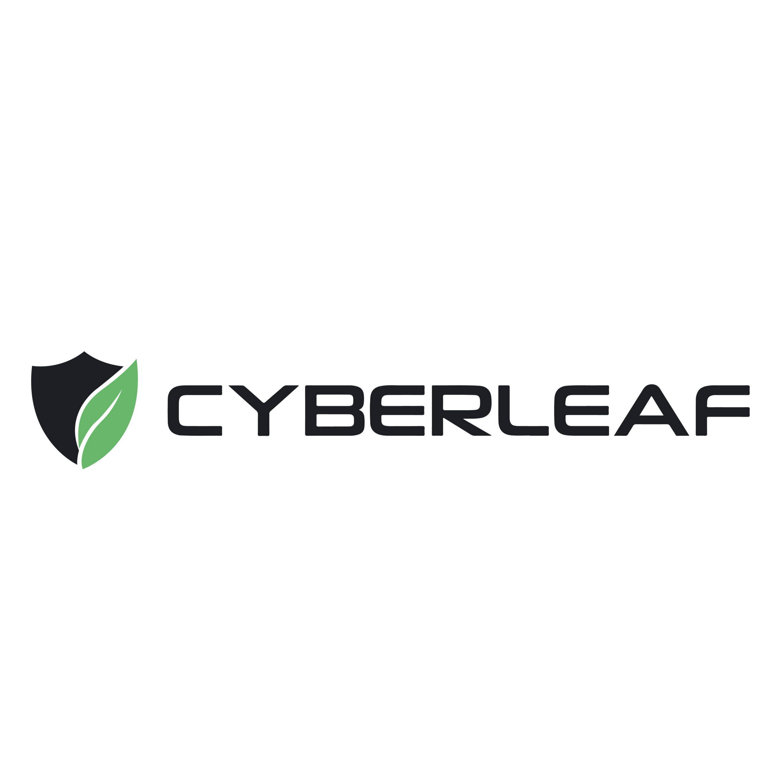 Silver Sponsor